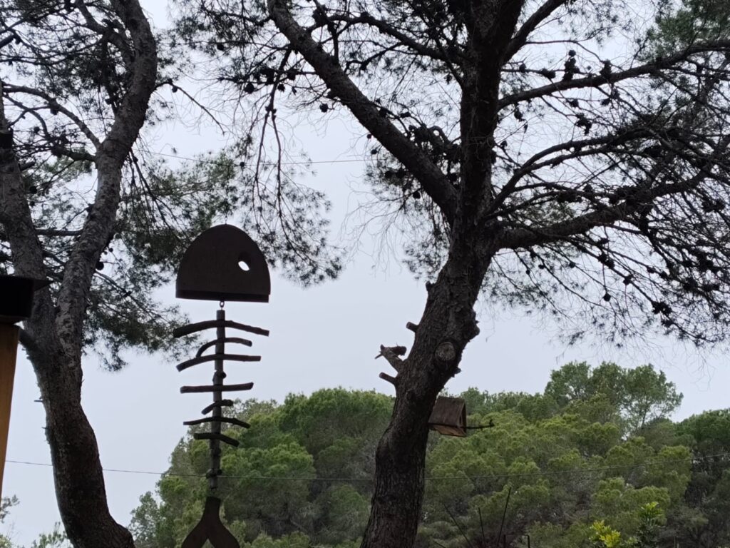 foto4