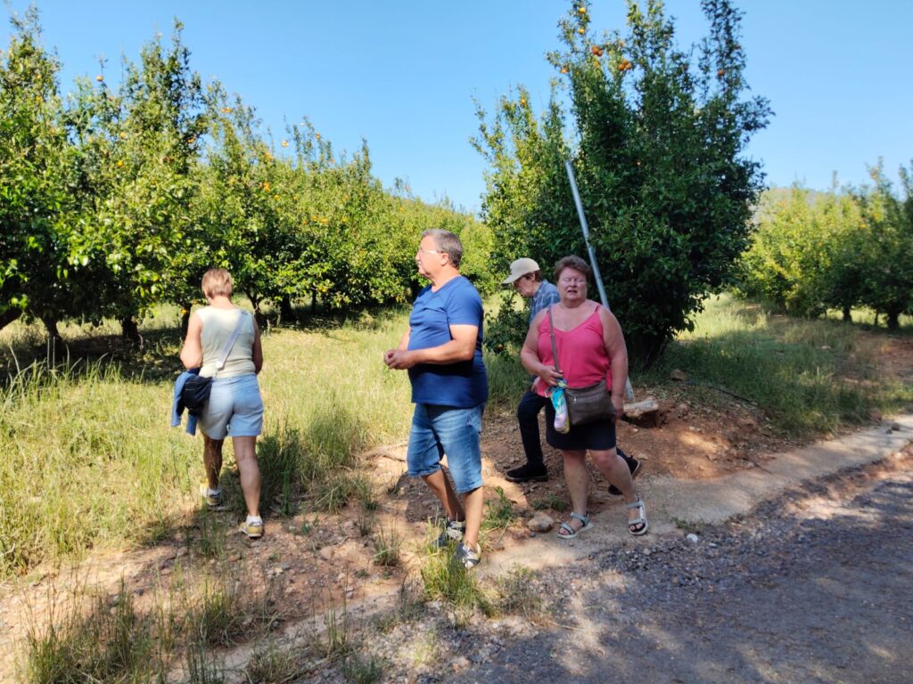 algar_palencia3
